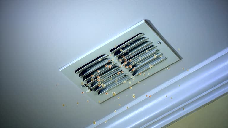 Best Home Air Vent Cleaning  in Egypt, AL