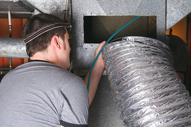 Best Air Duct Mold Removal  in Egypt, AL